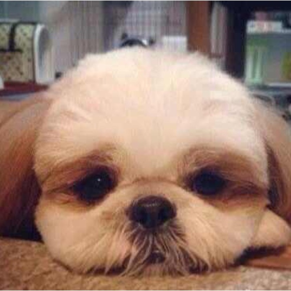 Reasonable offers are welcome :)